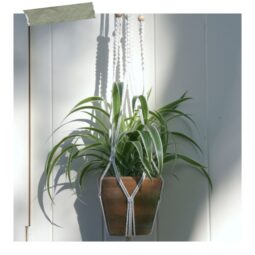 workshop macramé plantenhanger